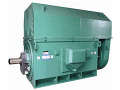 信丰Y系列6KV高压电机一年质保